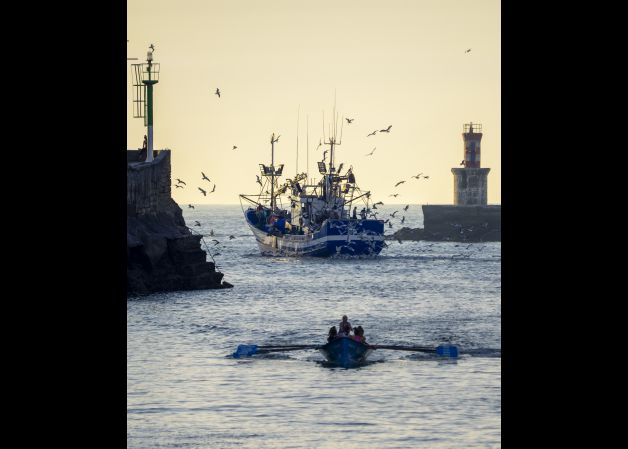 Emakumezkoen Indarra