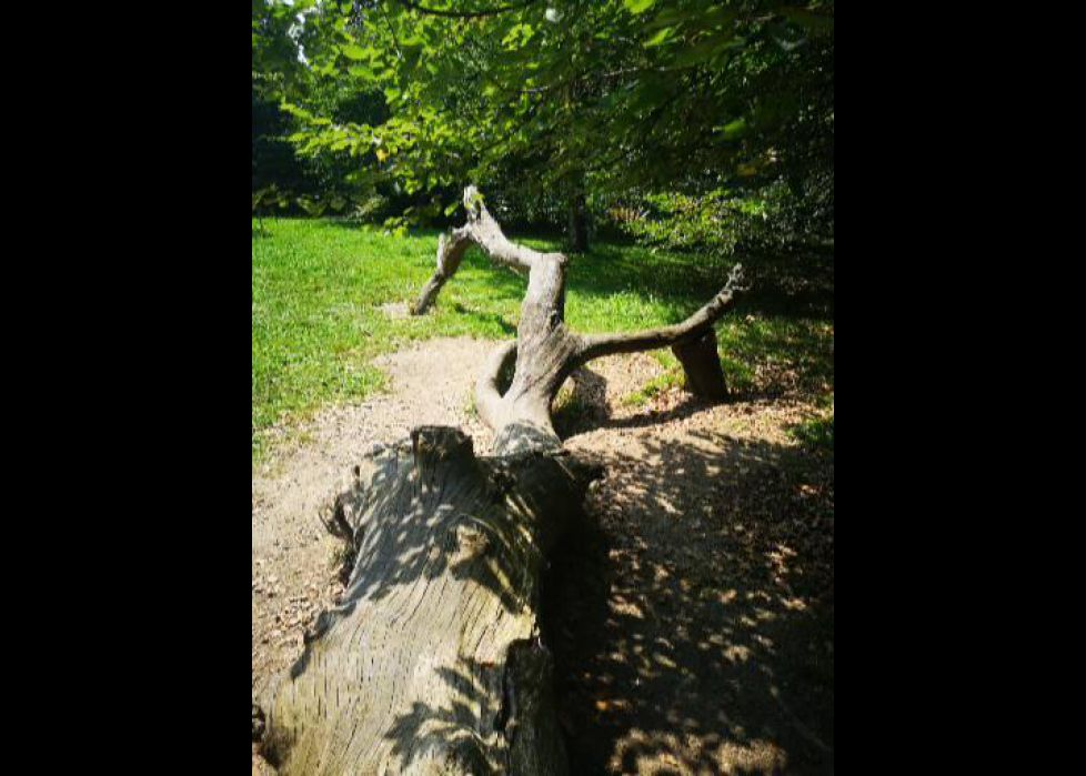 Escultura de la naturaleza