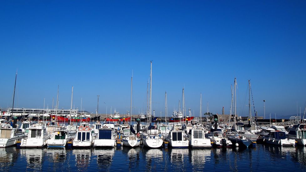 Getaria con reflejos