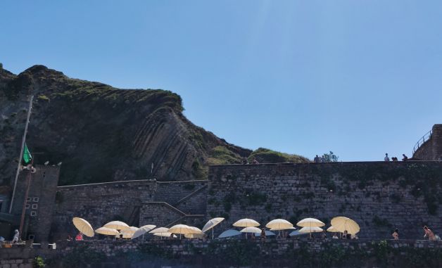 Girasoles en Itzurun (Zumaia)