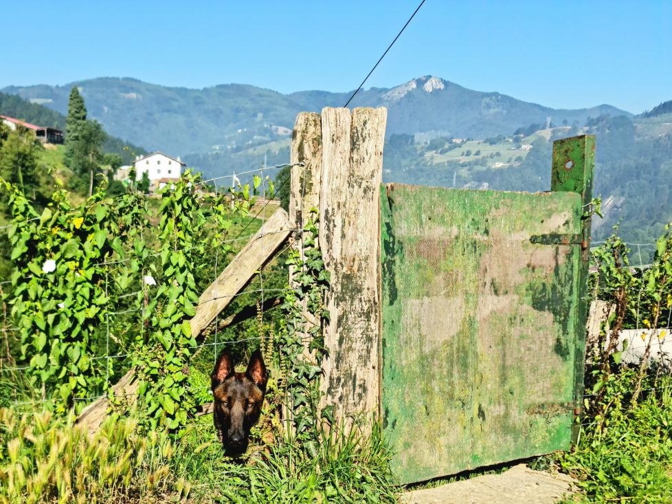 Jugando al escondite