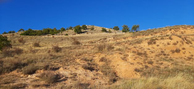 Luminosidad en Torresandino.