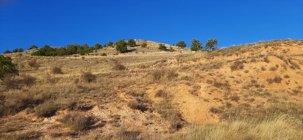 Luminosidad en Torresandino.