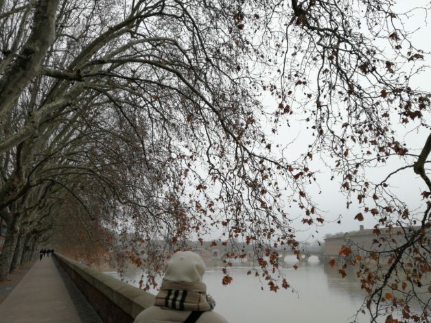 Mañana de niebla en Toulouse.