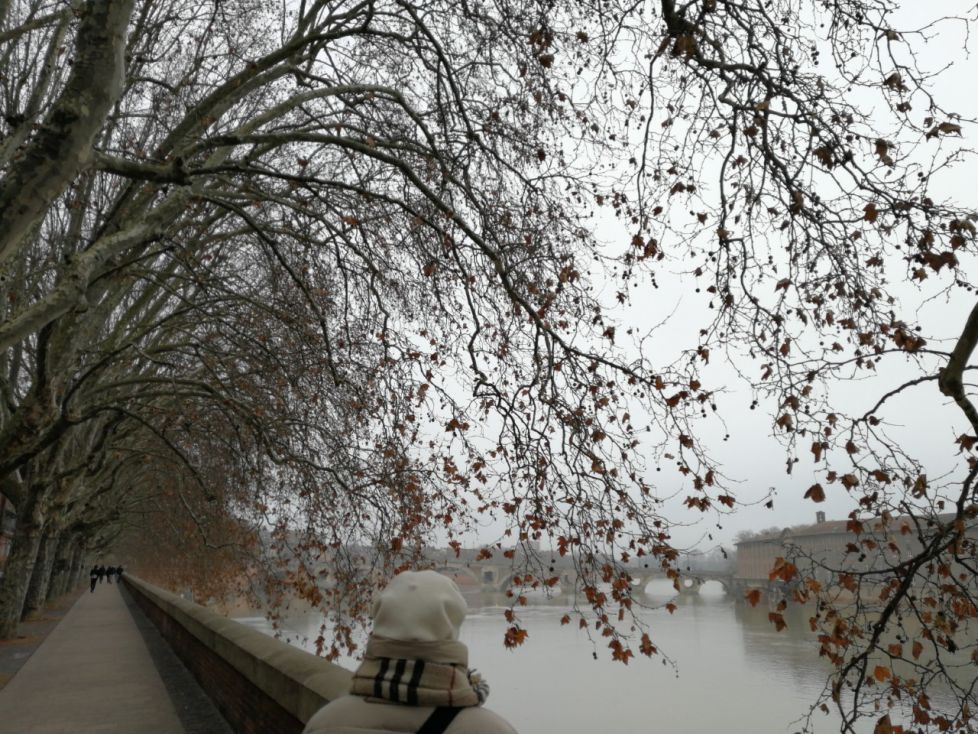 Mañana de niebla en Toulouse.