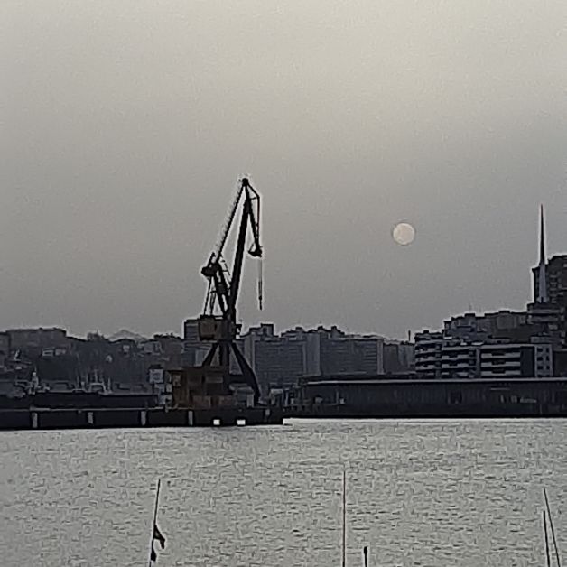 Pasaiako Portua, kalima artean