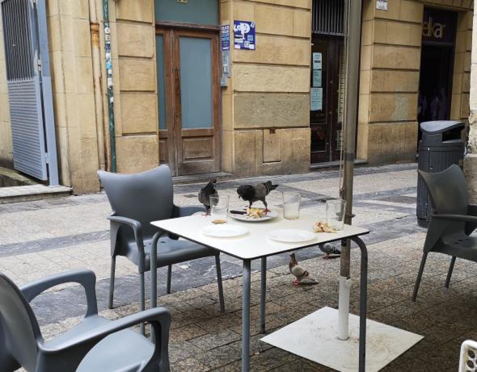 PINCHO POTE DE PALOMAS. 