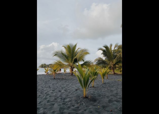 Playa Negra Costa Rica