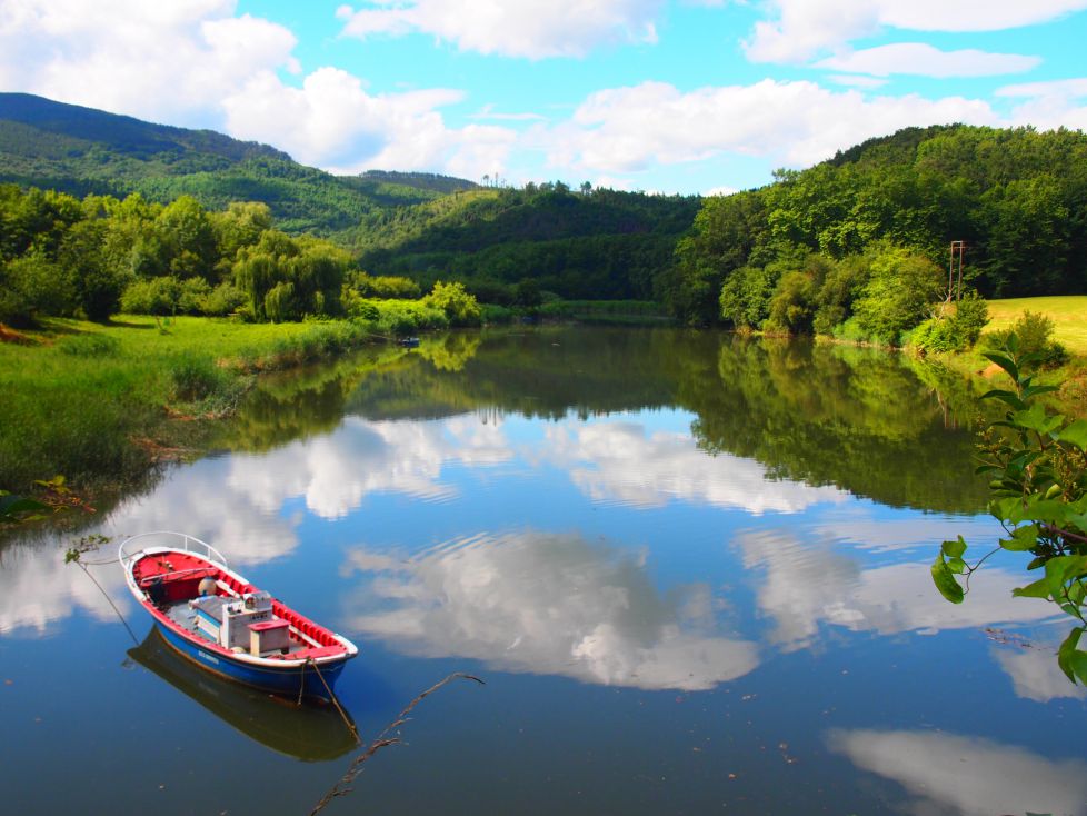 Reflejos en el rio Oria