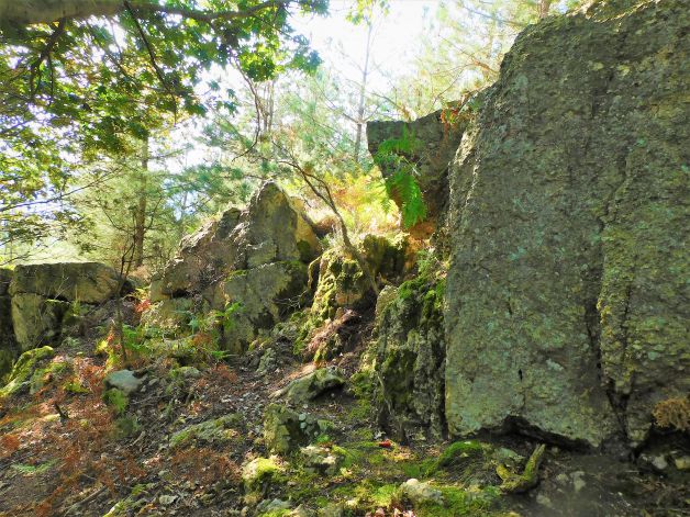 Rocas verdosas en Oiartzun.