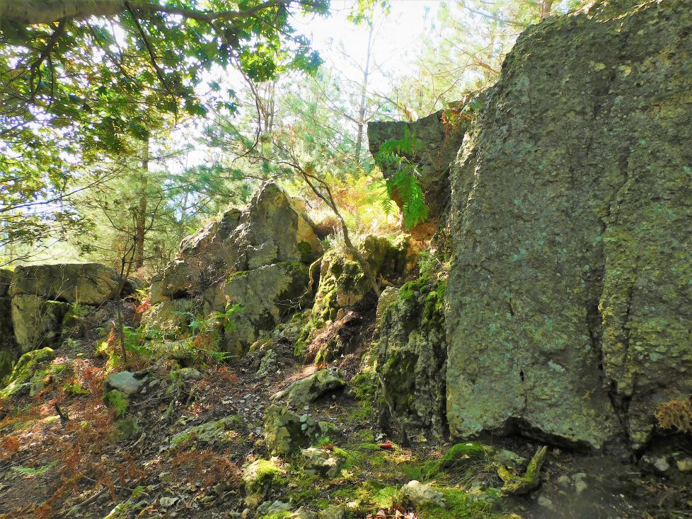 Rocas verdosas en Oiartzun.