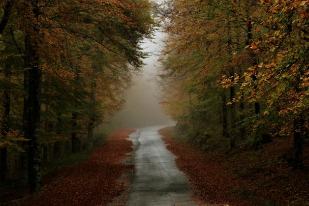 TIPICA NIEBLA DE ALTURAS