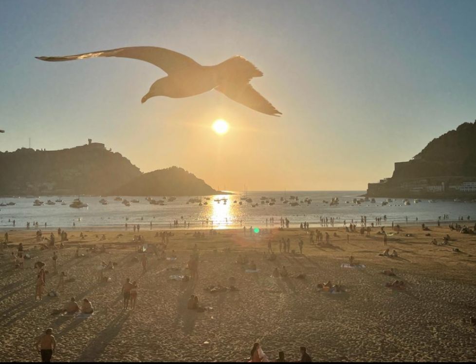 Vigilando desde el aire