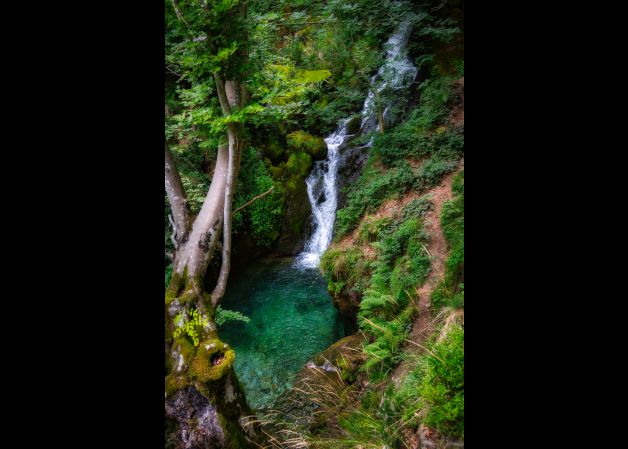 Zirauntza errekan aurkitu daiteken urjauzia, Araian