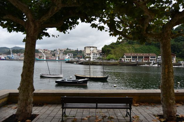 ZUHAITZ ARTEAN / ENTRE ÁRBOLES