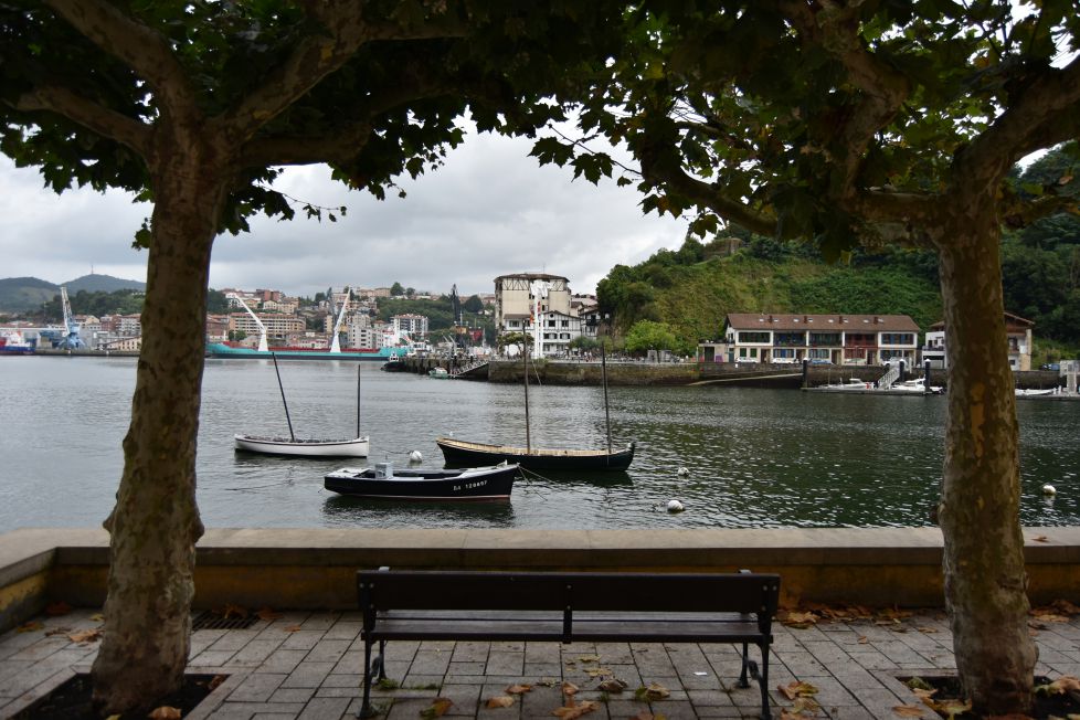 ZUHAITZ ARTEAN / ENTRE ÁRBOLES