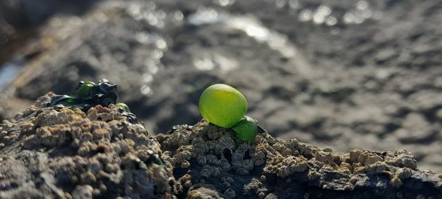 Bizitza muturreko baldintzetan II