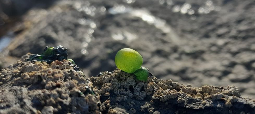 Bizitza muturreko baldintzetan II