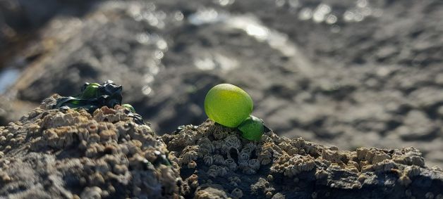 Bizitza muturreko baldintzetan X