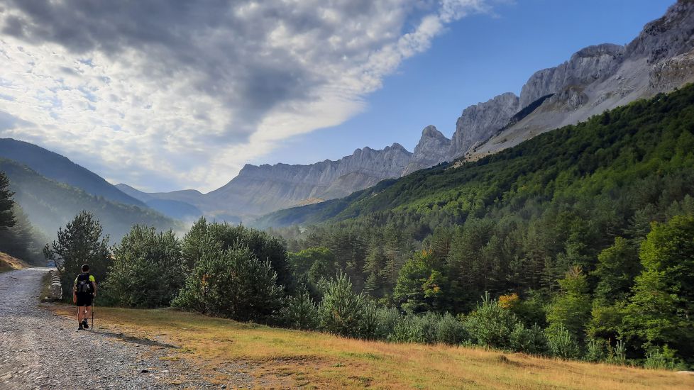 Camino de la sierra de los Alanos.