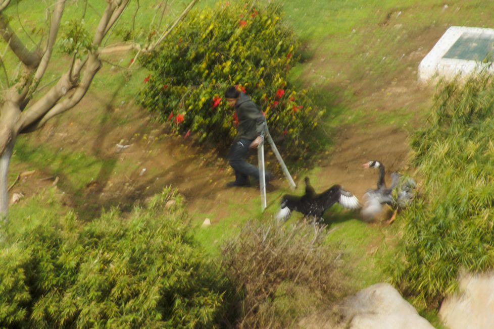 El chico de las muletas