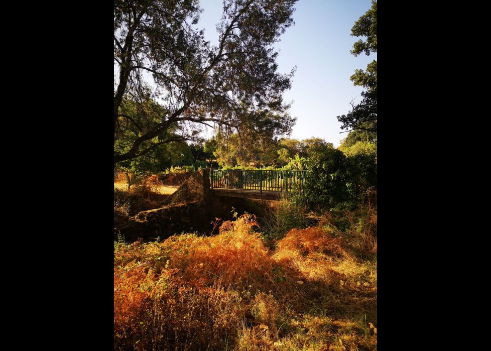 Conectando con la Naturaleza 