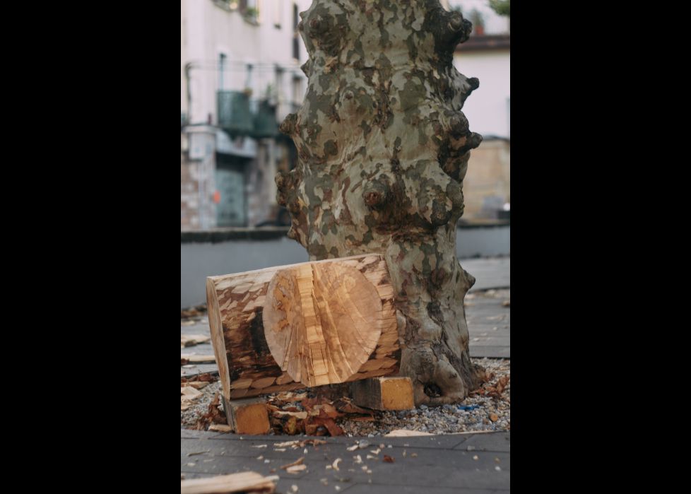 Después de la competicion