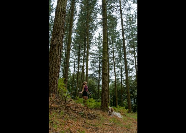 DISFRUTANDO DEL BOSQUE