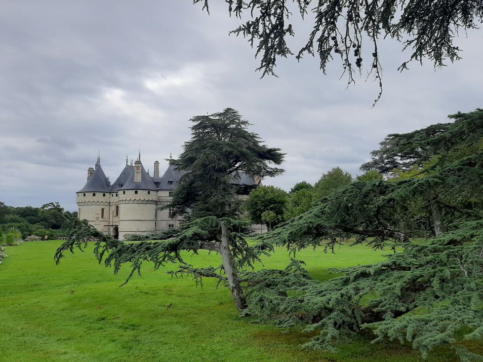 Fantasía caballeresca,