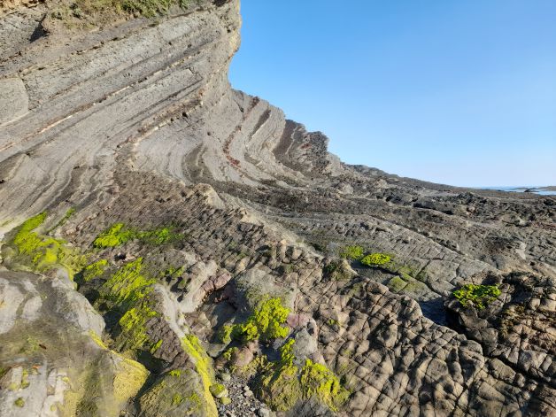 Fotosintesis Lemoizko itsaslabarretan IV