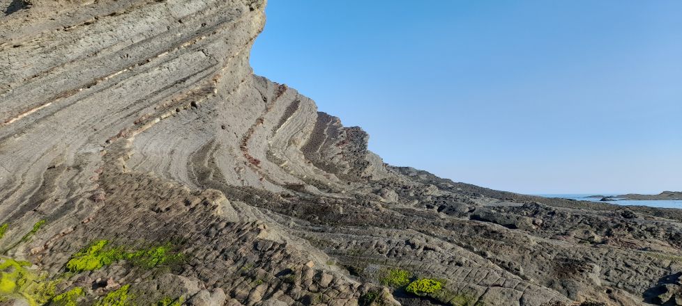 Fotosintesis Lemoizko itsaslabarretan V