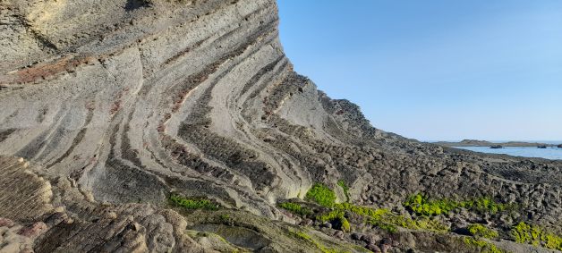 Fotosintesis Lemoizko itsaslabarretan VI