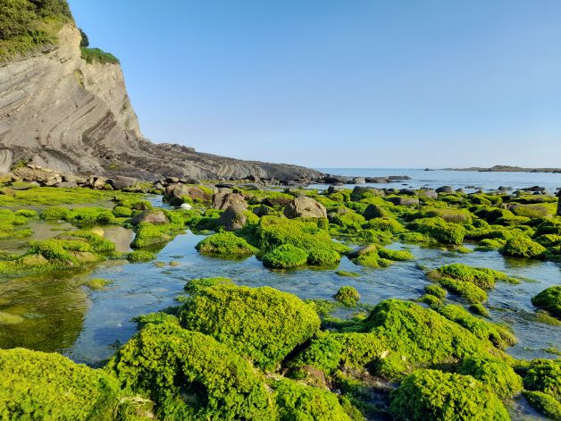 Fotosintesis Lemoizko itsaslabarretan III