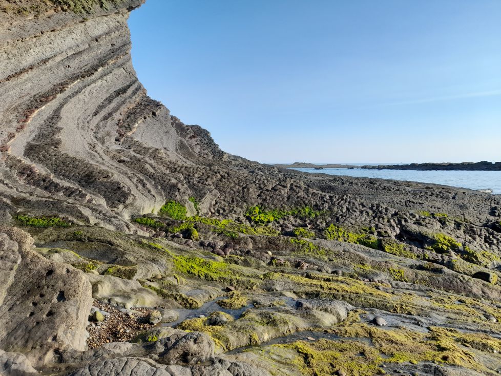 Fotosintesis Lemoizko itsaslabarretan VIII