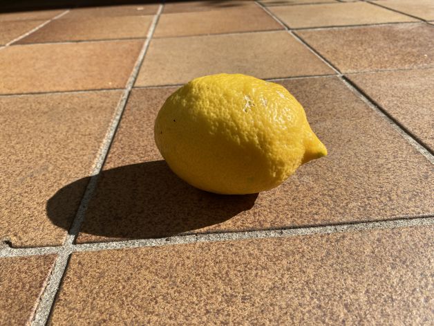 Mi limón mi limonero