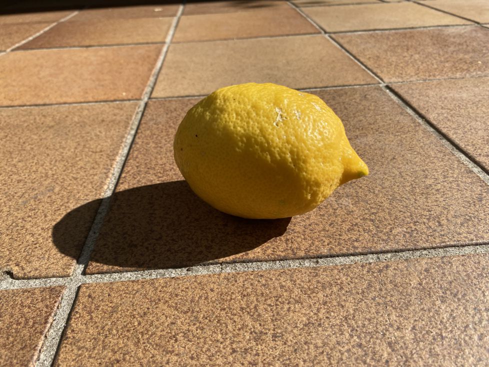 Mi limón mi limonero
