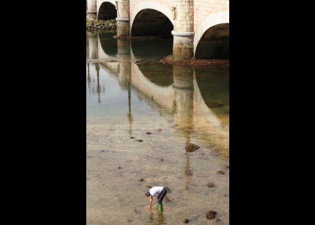 Marisqueo a pie en el Urumea