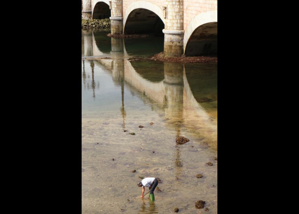 Marisqueo a pie en el Urumea