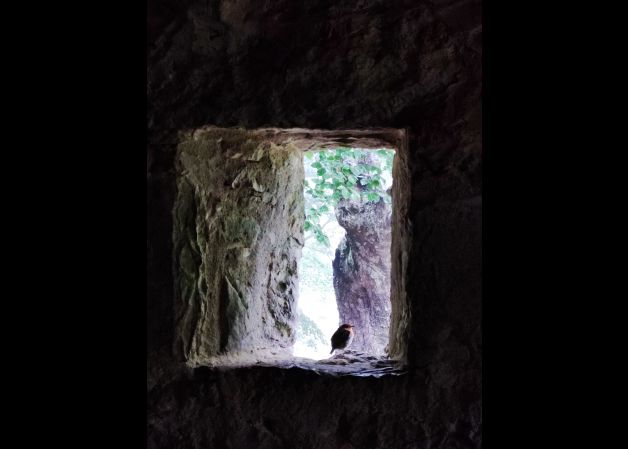 MIRANDO POR LA VENTANA