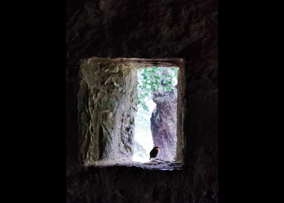 MIRANDO POR LA VENTANA