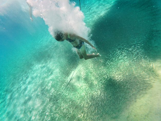 La ocasión de bucear entre un banco de peces