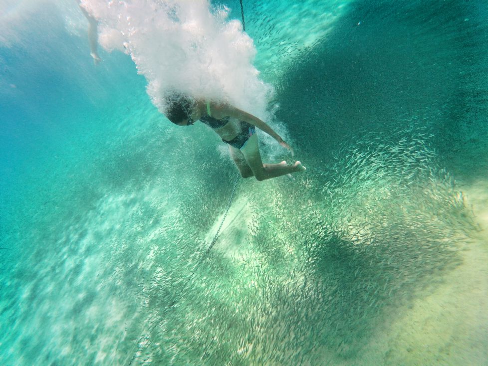 La ocasión de bucear entre un banco de peces