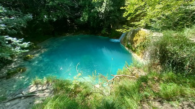 Paleta de colores, dentro del bosque..