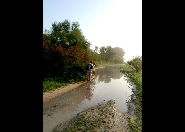 Peregrina surcando el camino de Santiago