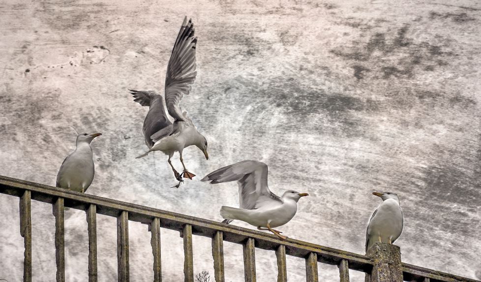 Quitate tú para ponerme yo......