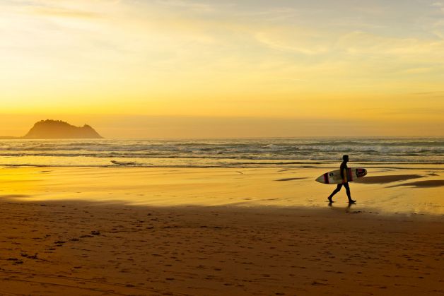 Ratón siguiendo a surfista