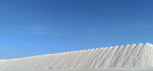 Salinas de Santa Pola. 