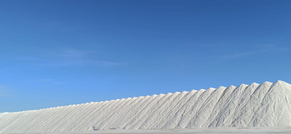 Salinas de Santa Pola. 