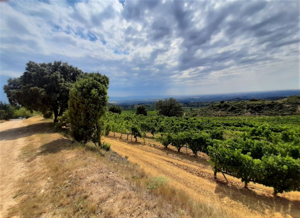 Tormenta a la Riojana.