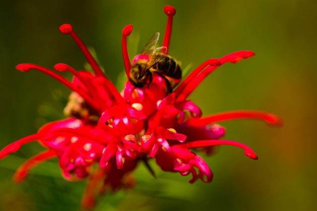 Vacaciones para Diciembre
